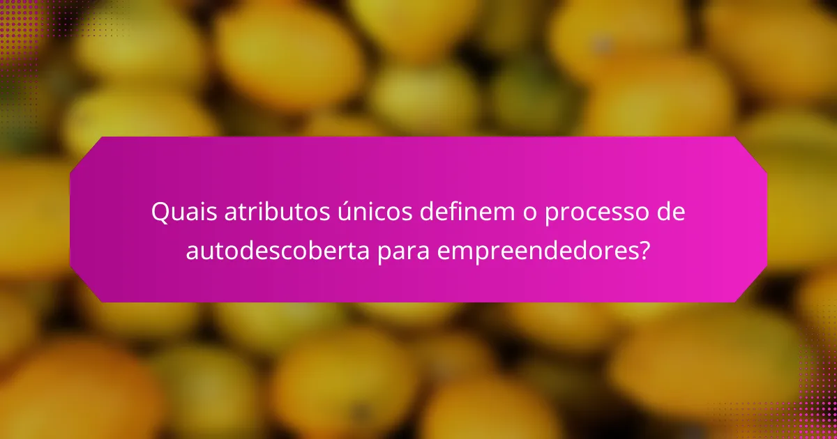 Quais atributos únicos definem o processo de autodescoberta para empreendedores?