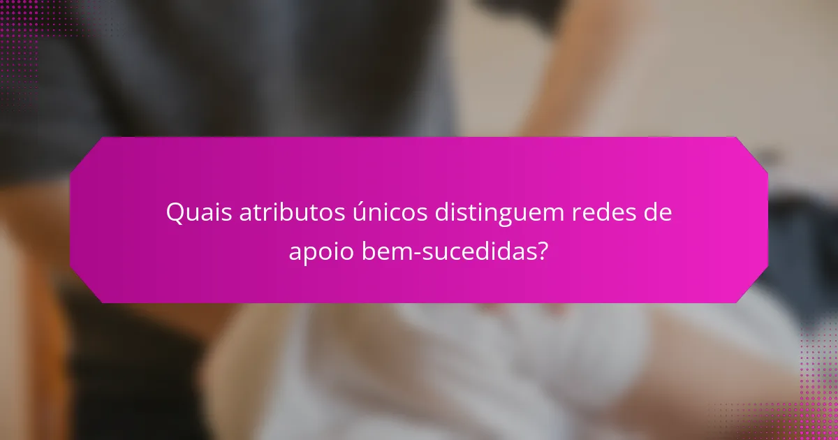 Quais atributos únicos distinguem redes de apoio bem-sucedidas?