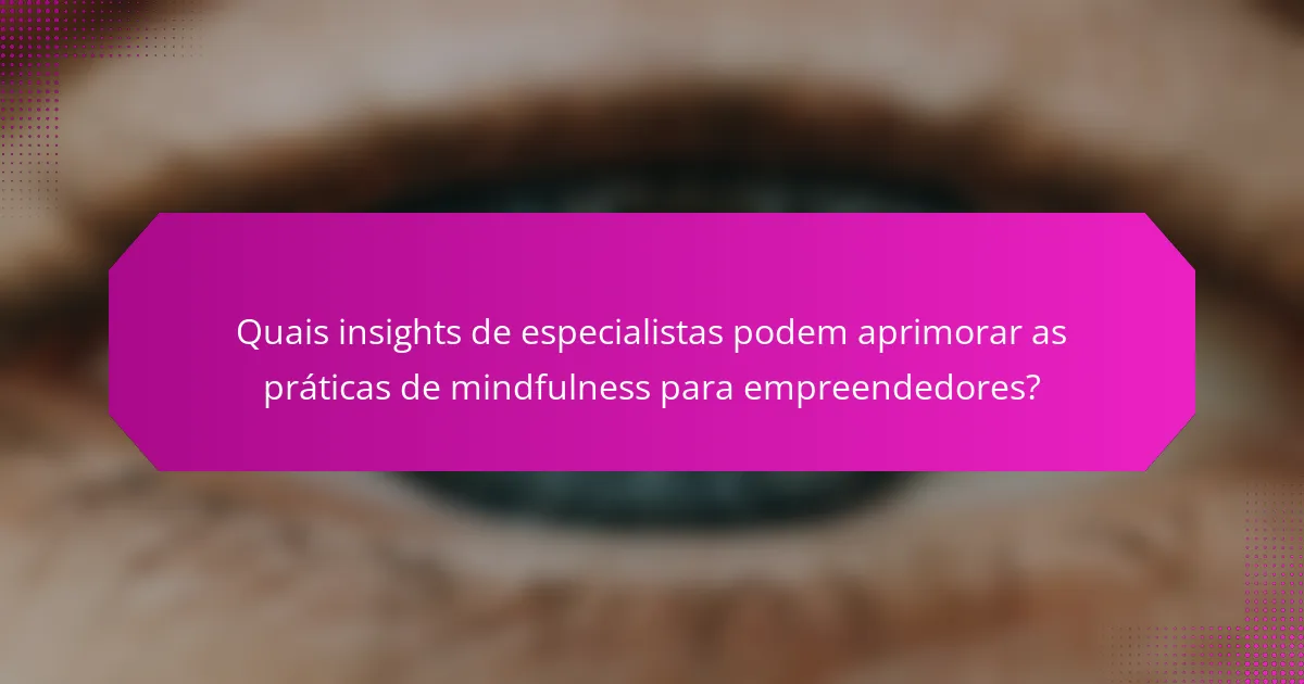 Quais insights de especialistas podem aprimorar as práticas de mindfulness para empreendedores?