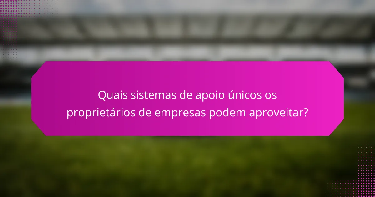 Quais sistemas de apoio únicos os proprietários de empresas podem aproveitar?
